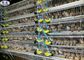 Basit Q235 Bıldırcın Kafes 800 Kuşlar Kapasiteli Uzun Yaşamı Kullanarak Çalışma