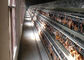 Modern Çiftlik Binası Kümes Hayvanları Katmanlı Tavuk Kafesi