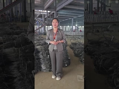 Görünmez Tel Ağı Atölyesi Gösteri