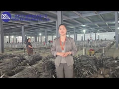 Tank önleyici bariyer ağ atölyesi tanıtımı ve sergisi