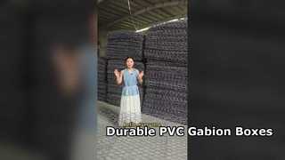 Galvanizli Demir Hasır PVC Kaplı Gabion Kutusu
