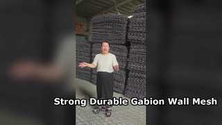 Galvanizli Demir Tel Altıgen PVC Kaplı Gabion Duvar İstinat Duvarı Mesh 80x100mm