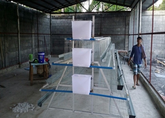 Filipin Çiftlikleri İçin 3 Katlı 4 Oda 500-1000 Kuş Tavuk Yetiştirme Kafesleri