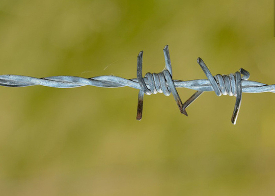 Hapishanenin Duvarlarının Kullanımı Çift Dönüştürülmüş PVC Kaplı / Galvanizli Dikenli Tel Bobinleri