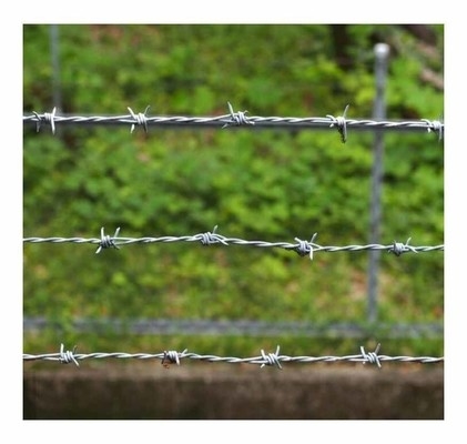 Spiral dikenli tel Savunma Galvanizli Dikenli Tel Kurulum Güvenlik Çit