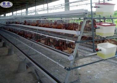 Çinko Kaplama Tavuk Islahı Kafesleri 304 Paslanmaz Çelik Bilyalı Uzun Süre Kullanım