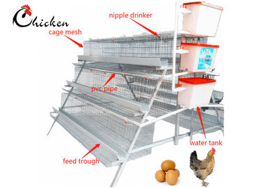 Otomatik Tavuk Katmanı Akü Kafesi, Q235 Çelik Modern Tavuk Kafesleri