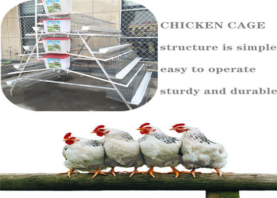 5 Katlı Tarım Q235 Tavuk Yetiştirme Kafesi