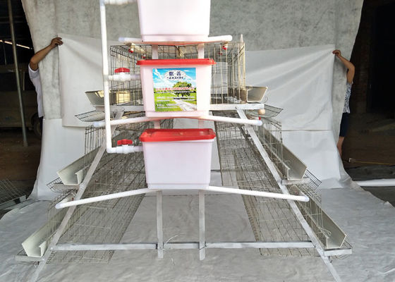 Otomatik İçkici Broiler Tavuk Kafesleri Çok Fonksiyonel ve Pratik
