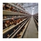 Galvanizli çelik tavuk yumurtlama kafesi Büyük kapasiteli 96-160 tavuk