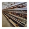 H Tipi Otomatik Katman Tavuk Kafesleri Yumurta Üretimi için Tavuk Ekipmanı