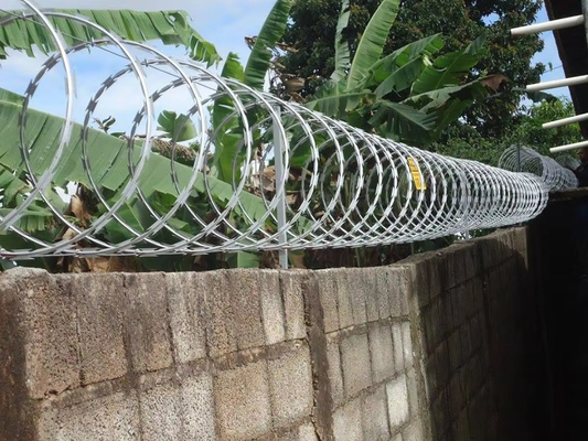 2024 KN Koruma Çit Tıraş Dikenli Tel Ağı 2.5mm Kenya Güney Afrika Zimbabve