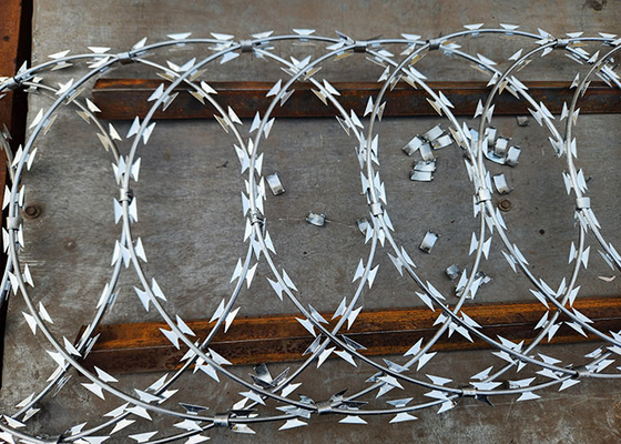 Güçlü Savunma Galvanizli Acayip Dikenli Tel Güvenli Sınırlar için Rol