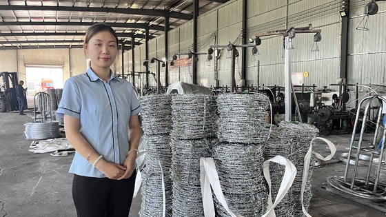 Sıcak Dip Galvanize Çit Yüksek Tensili Dikenli Tel 1.6Mm 300M