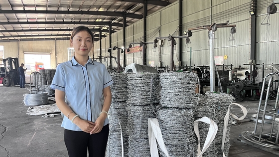 1.6mm 500m 25kg/Roll Galvanizli Dikenli Tel Sıcak Daldırılmış