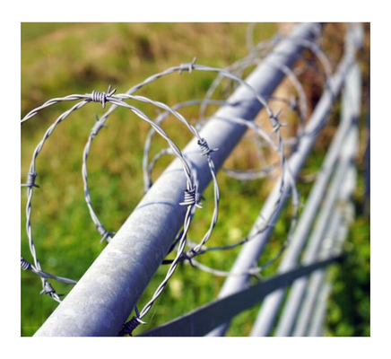 Sıcak Dip Galvanize Çit Yüksek Tensili Dikenli Tel 1.6Mm 300M