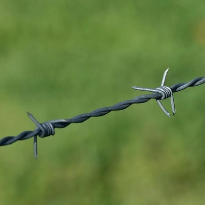 Galvanizli dikenli tel dikenli tel fiyat 250m rulo başına dutch net metal korkuluk korkuluk dikenli tel tbar dikenli tel için germe aracı Ce Sertifikası