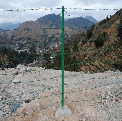 Galvanizli dikenli tel dikenli tel fiyat 250m rulo başına dutch net metal korkuluk korkuluk dikenli tel tbar dikenli tel için germe aracı Ce Sertifikası