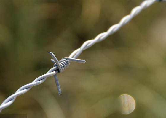 Hapishane duvarlarının kullanımı tırmanmaya karşı galvanizli dikenli tel rulo