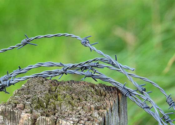 Bahçe Hırsızlık Karşıtı Uzunluğu 200m Tek iplik Sıcak Dip Galvanizli Dikenli Tel
