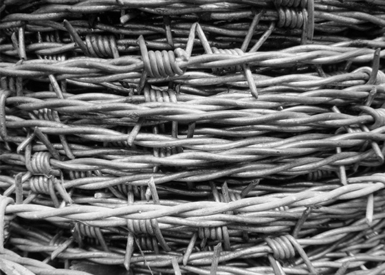 Bahçe Hırsızlık Karşıtı 12.5 Ölçüm Çift Dönüştürülmüş Galvanize Dikenli Tel