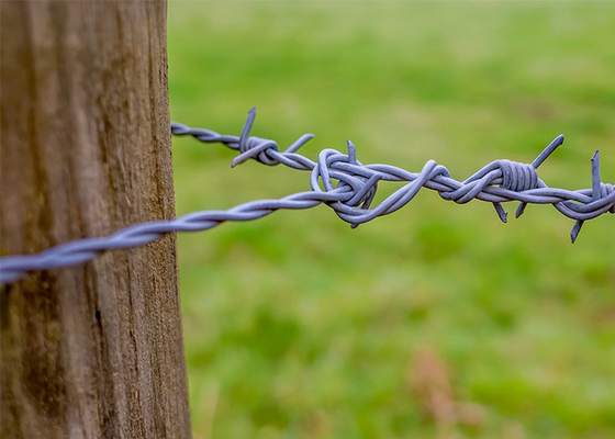 İzolasyon ve koruma için elektrikli galvanizli güvenlik dikenli tel