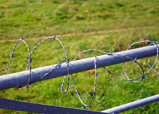 Pas Direnci Tek iplik Galvanizli Çelik Dikenli Tel Çit İnşaat Koruması