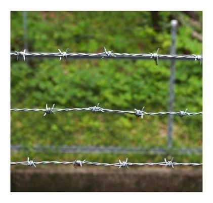 Use Of Prison Walls Anti Climb Single Strand PVC Coated Iron Barbed Wire