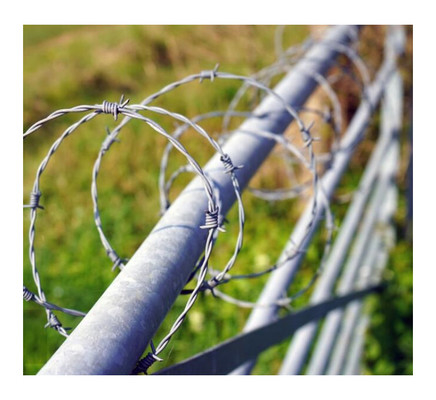 Geleneksel Galvanizli Dikenli Tel Bobini 400M 500M 50Kg Her Rulo Çelik Çit ve Koruma için 5mm Diameter