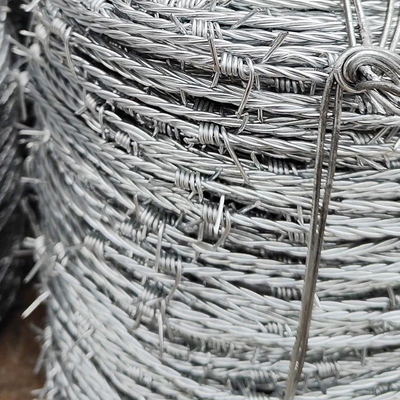 Güvenlik Çitleri İçin Galvanize 12#*14# Dikenli Tel Çift Dönüştürme Dönüştürme
