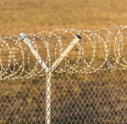 Durable Galvanized Razor Concertina Barbed Wire 450mm Razor Barbed Wire Price