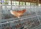Büyük Kanatlı Tavuk Kafesleri, Kanatlı Katmanlı Kafes Tasarımı Galvaniz Yüzey
