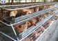 Kaynaklı Kanatlı Tavuk Kafesleri, Sıcak Daldırma Galvanizli Tel Tavuk Kafesleri