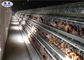 A Tipi Kanatlı Tavuk Kafesleri Elektrikli Galvanizli Yüzey 120 Tavuk Kapasitesi