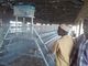 PVC Tekneli 96 128 160 Kanatlı Yumurta Katmanı Kafesleri / Kanatlı Çiftlik Kafesi Kolay Kurulum