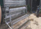 Otomatik Tavuk Besleme Sistemli Hasır Katmanlı Tavuk Kafesleri Pil Kafesi
