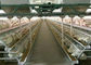 Otomatik Pil Çiftliği Q235 Kanatlı Tavuk Kafesleri