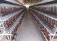 Galvanizli Otomatik Tarım Q235 Tavuk Yetiştirme Kafesleri