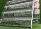 Yumurta Katmanı Kuluçka Pil Kafesi Kümes Hayvanları Çiftliği Set Başına 96 Tavuk Kapasitesi