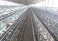 Güney Afrika Pazarı için H tipi galvanizli otomatik Bettery tavuk çiftliği laer tavuk kafesi