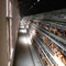 Tavuk Çiftliği Ekipmanları İçin Ticari Hayvan Otomatik Tavuk Katman Kafesi