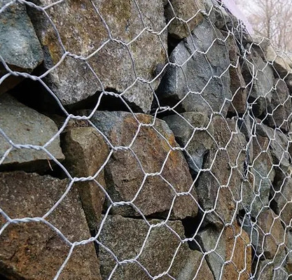 Shuxin Sıcak Galvanize 60 * 80mm Delik 2.7mm Kablo Ağı Gabion Sepeti Sel Kontrolü İçin
