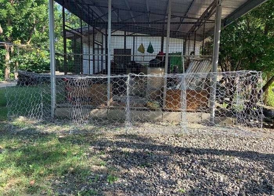 4x1x1m 3.05mm Kablo Gabion sepetleri Silindirli metal yapılarla baraj ve temel inşaatı için