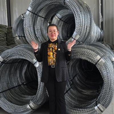 Egoza Concertina Jilet dikenli tel çit Ultimate çevre savunma çözümü