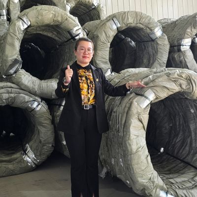 Egoza Konçertina Tel Eskrim Razor Kritik Alanlar için Keskin Koruma