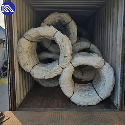 Hapishanenin Güvenliği Yüksek Kalite Galvanize 200m 500m Standart Boyut Çiftlik Demir Dikenli Tel Telaş