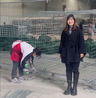 Mil 1 Ordu Savunma Engelli Duvar Koruması Geotekstil ile Kaplı Galvanize Hesco engelli fiyat